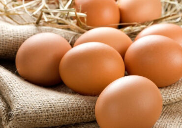Jajka: Tajemnice Małego Świata Wielkiego Smaku